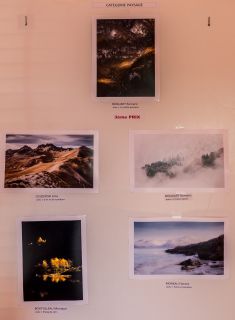 Concours paysage