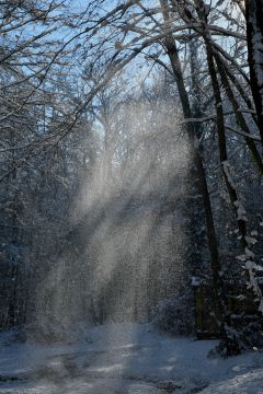 Hiver - Chigny les Roses