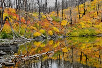 Reflets National park